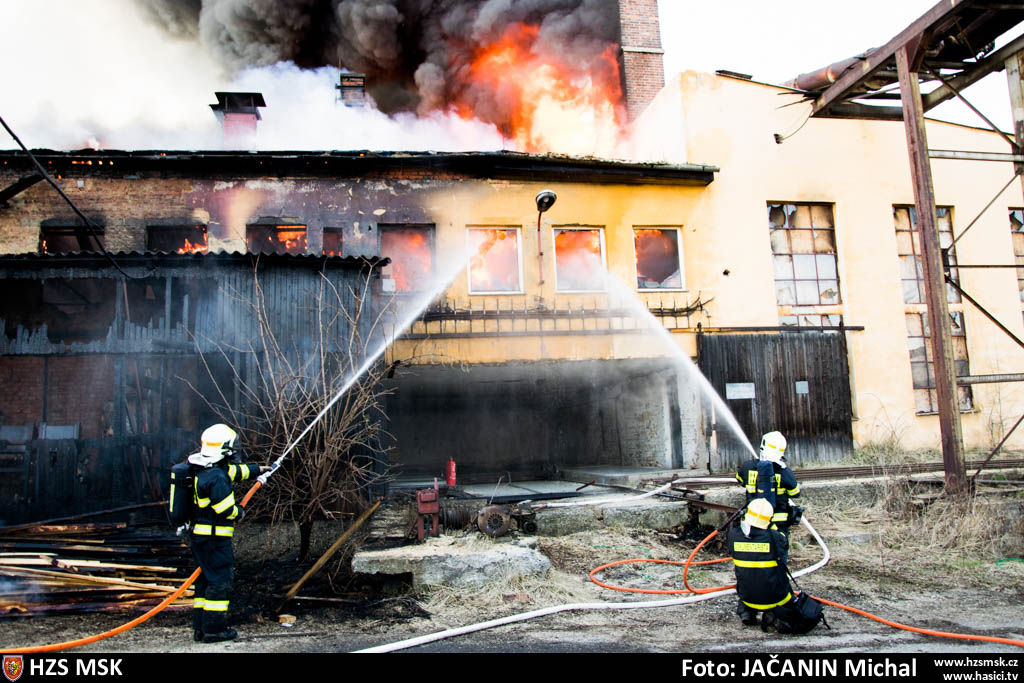 pozarpilaHlucin_Jacanin (19).jpg