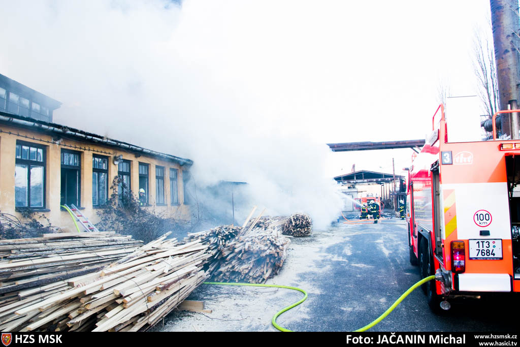 pozarpilaHlucin_Jacanin (2).jpg