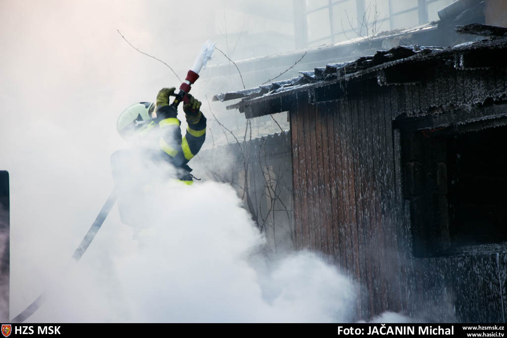 pozarpilaHlucin_Jacanin (24).jpg