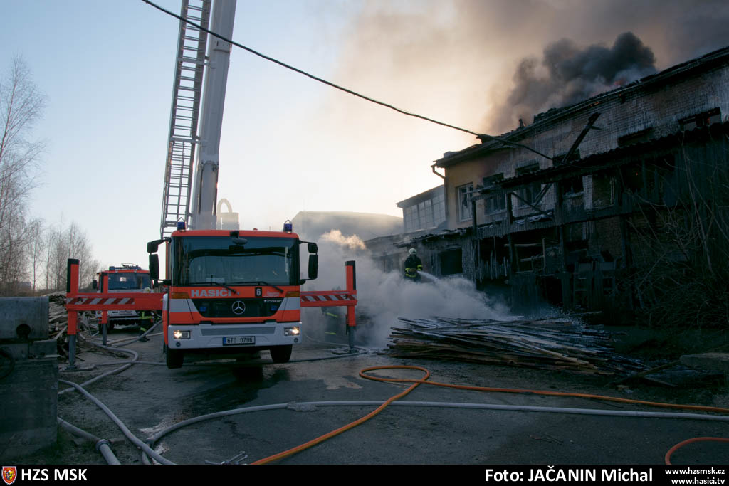 pozarpilaHlucin_Jacanin (26).jpg