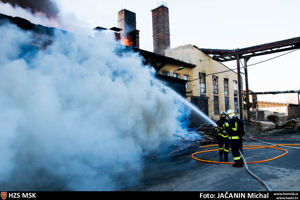 pozarpilaHlucin_Jacanin (3).jpg