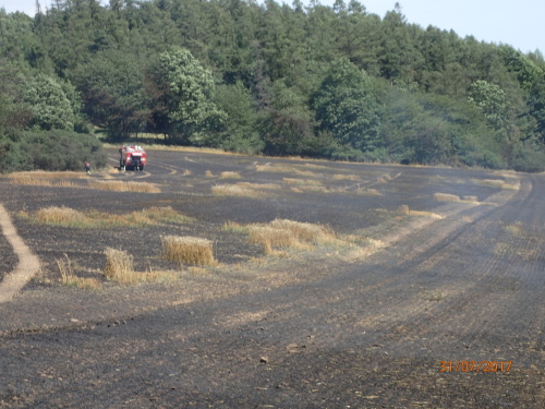 pozarpole5haHostalkovy (3).JPG