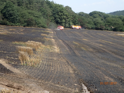 pozarpole5haHostalkovy (6).JPG