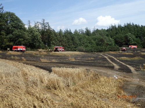 pozarpole5haHostalkovy (7).JPG