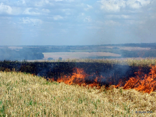 pozarpolejecmenDivciHrad_II (3).JPG