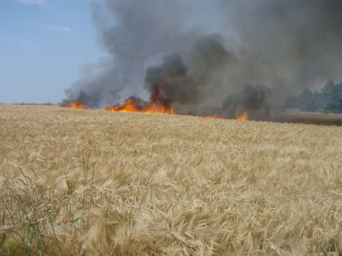 pozarpoleobiliDolniLutyne/pozarpoleobiliDolniLutyne (1).jpg