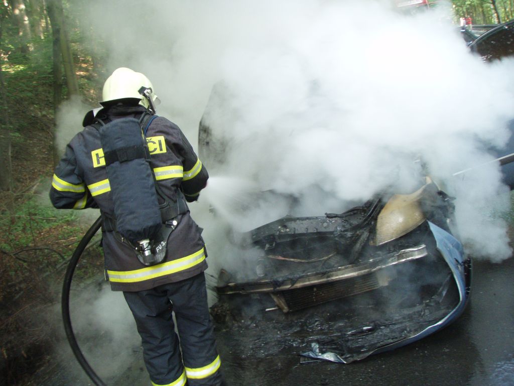 pozarrenaultVrchy (NJ) (3).JPG