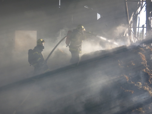 pozarsenikKarlovice (BR) (2).JPG