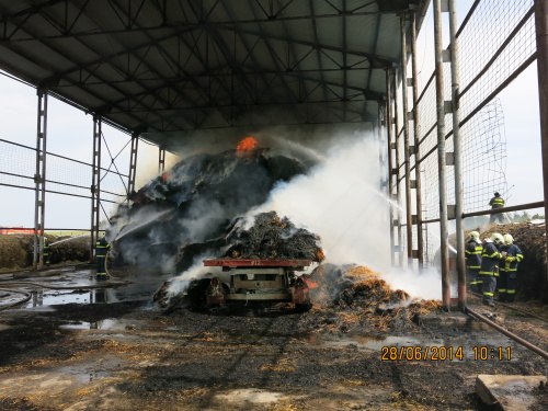 pozarsenikLubomer (NJ) (3).JPG