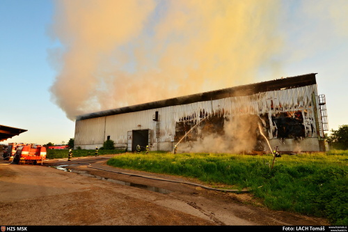 pozarsenikPetrvaldik (NJ)_Lach  (1).JPG