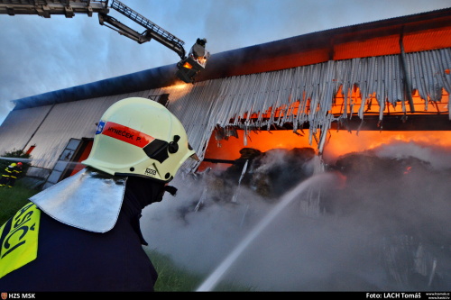 pozarsenikPetrvaldik (NJ)_Lach  (10).JPG