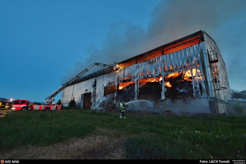 pozarsenikPetrvaldik (NJ)_Lach  (12).JPG