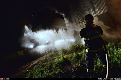 pozarsenikPetrvaldik (NJ)_Lach  (15).JPG