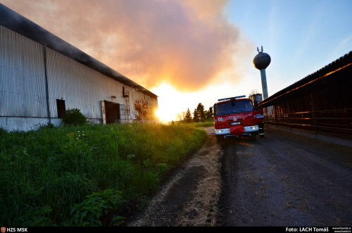 pozarsenikPetrvaldik (NJ)_Lach  (4).JPG