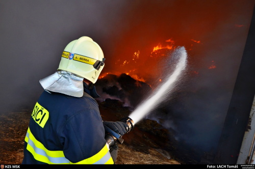 pozarsenikPetrvaldik (NJ)_Lach  (5).JPG