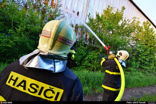 pozarsenikPetrvaldik (NJ)_Lach  (7).JPG