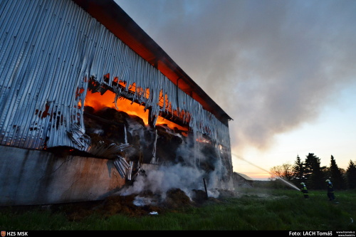 pozarsenikPetrvaldik (NJ)_Lach  (9).JPG