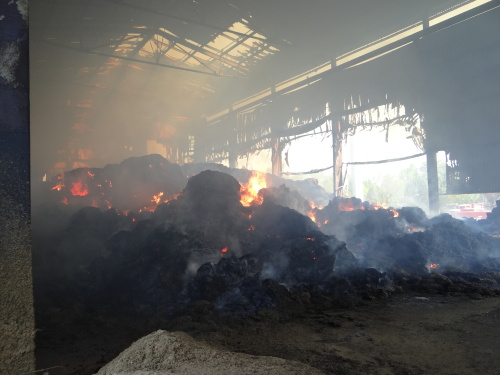 pozarsenikPetrvaldik (NJ)_dopoledne (10).JPG