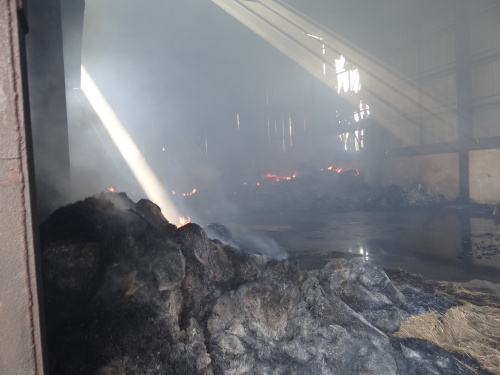 pozarsenikPetrvaldik (NJ)_dopoledne (16).JPG