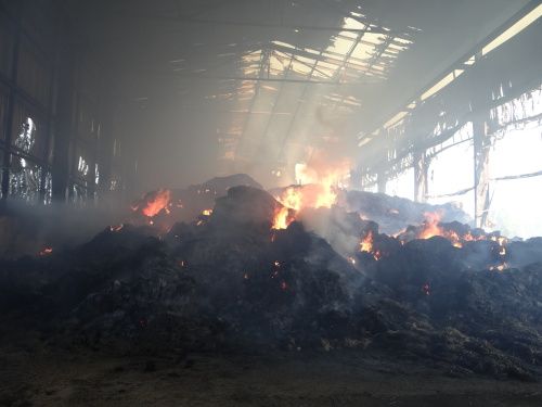 pozarsenikPetrvaldik (NJ)_dopoledne (19).JPG