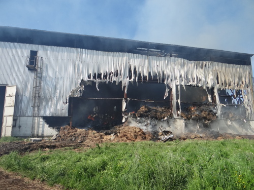 pozarsenikPetrvaldik (NJ)_dopoledne (2).JPG