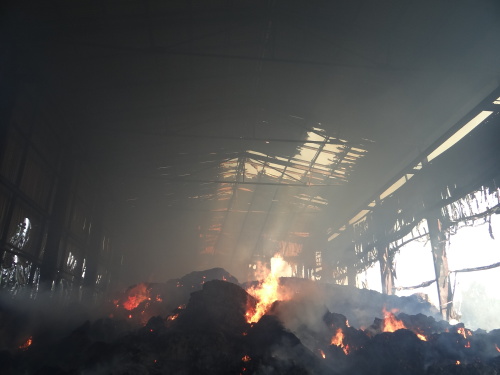 pozarsenikPetrvaldik (NJ)_dopoledne (20).JPG