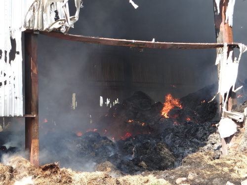 pozarsenikPetrvaldik (NJ)_dopoledne (4).JPG