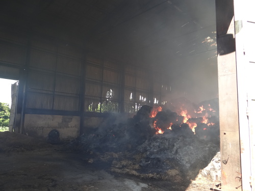 pozarsenikPetrvaldik (NJ)_dopoledne (5).JPG