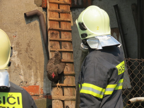 pozarstodolauchrRDBystrice_II (3).JPG