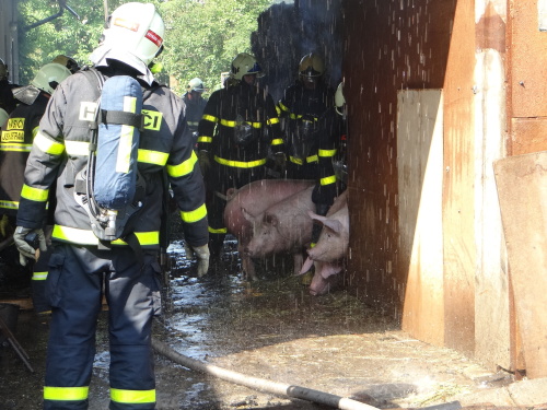 pozarstodolazvirataMartinov (OV) (5).JPG