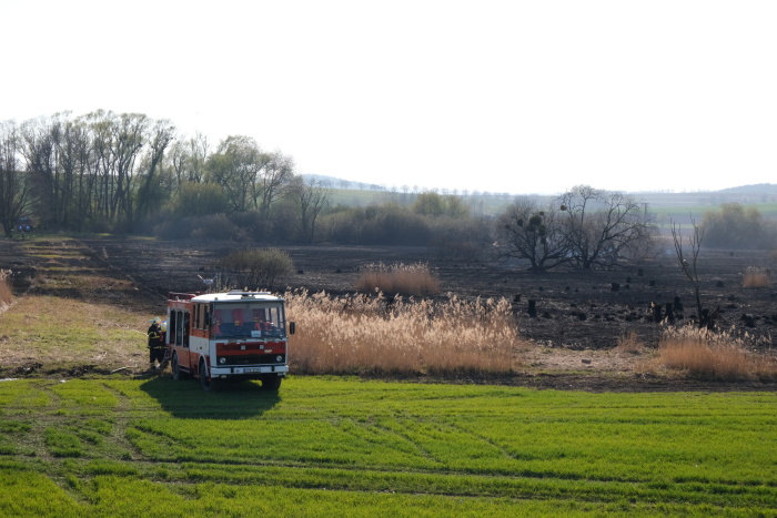 pozarstromyrakosiBrumovice (6).JPG