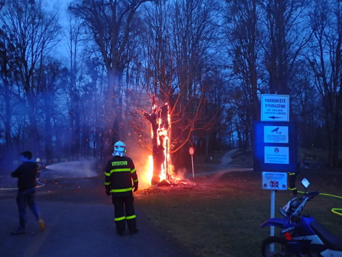 pozarstromzamekSilherovice (1 OP).JPG