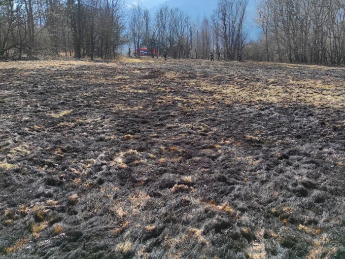 pozartravaCeladna (1 FM).jpg