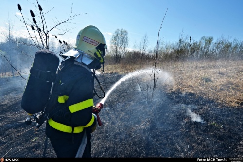 pozartravakerestromyhaldaOstrava (11).jpg