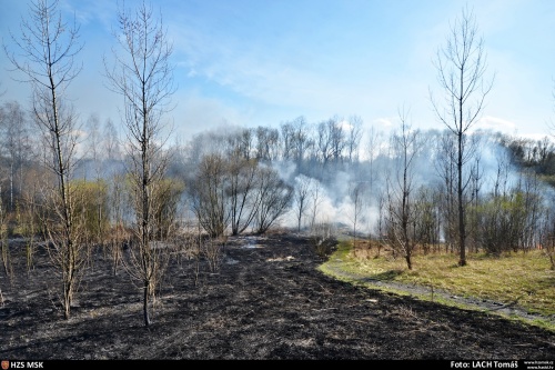 pozartravakerestromyhaldaOstrava (2).jpg