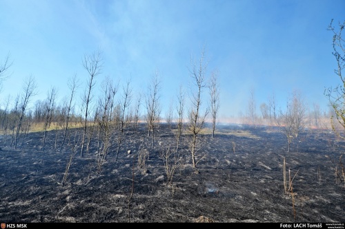 pozartravakerestromyhaldaOstrava (3).jpg