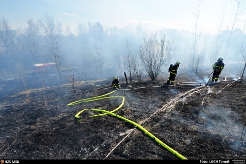 pozartravakerestromyhaldaOstrava (9).jpg