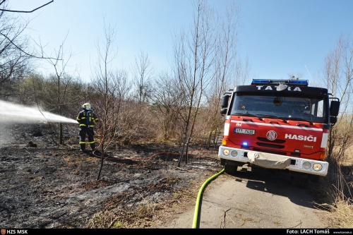 pozartravaodpadOVHrusov (7).jpg