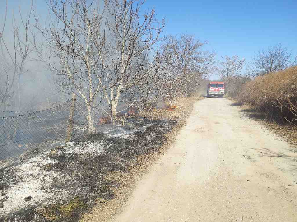 požáry porostů (27).jpg
