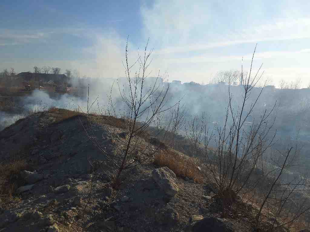 požáry porostů (44).jpg
