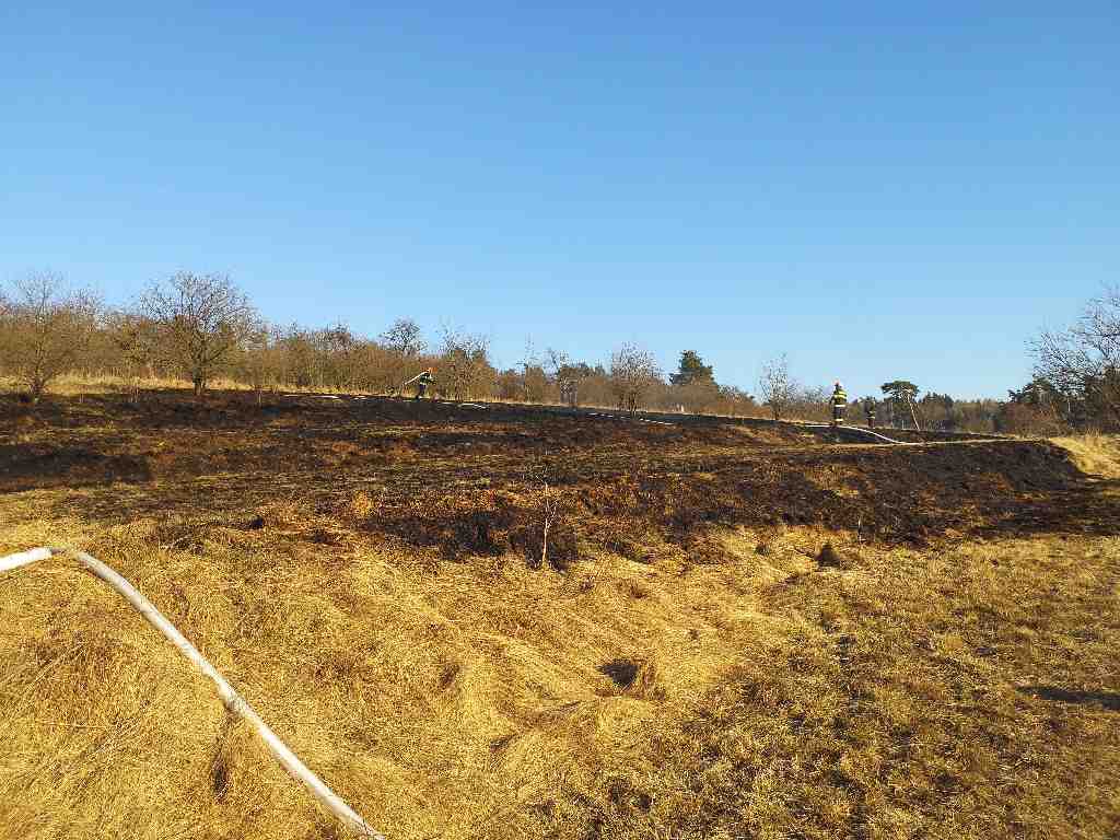 požáry porostů (47).jpg