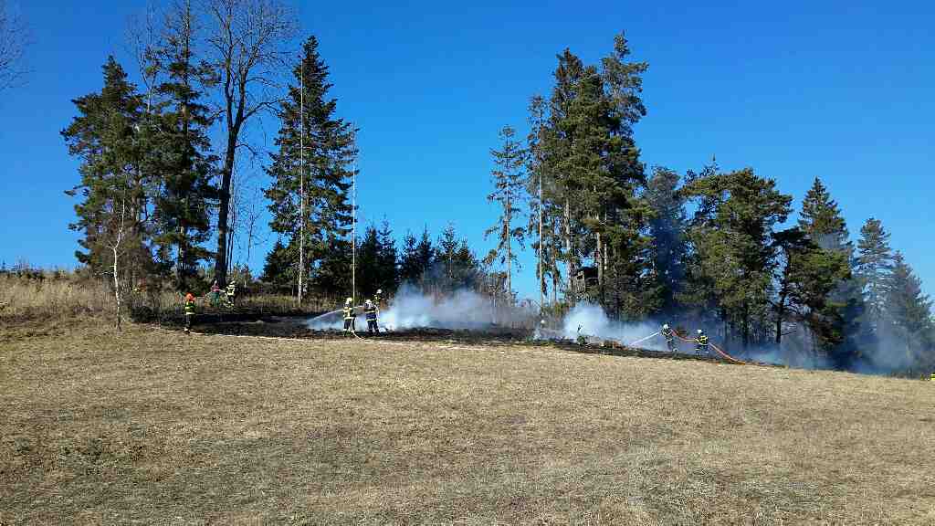 požáry porostů (62).jpg