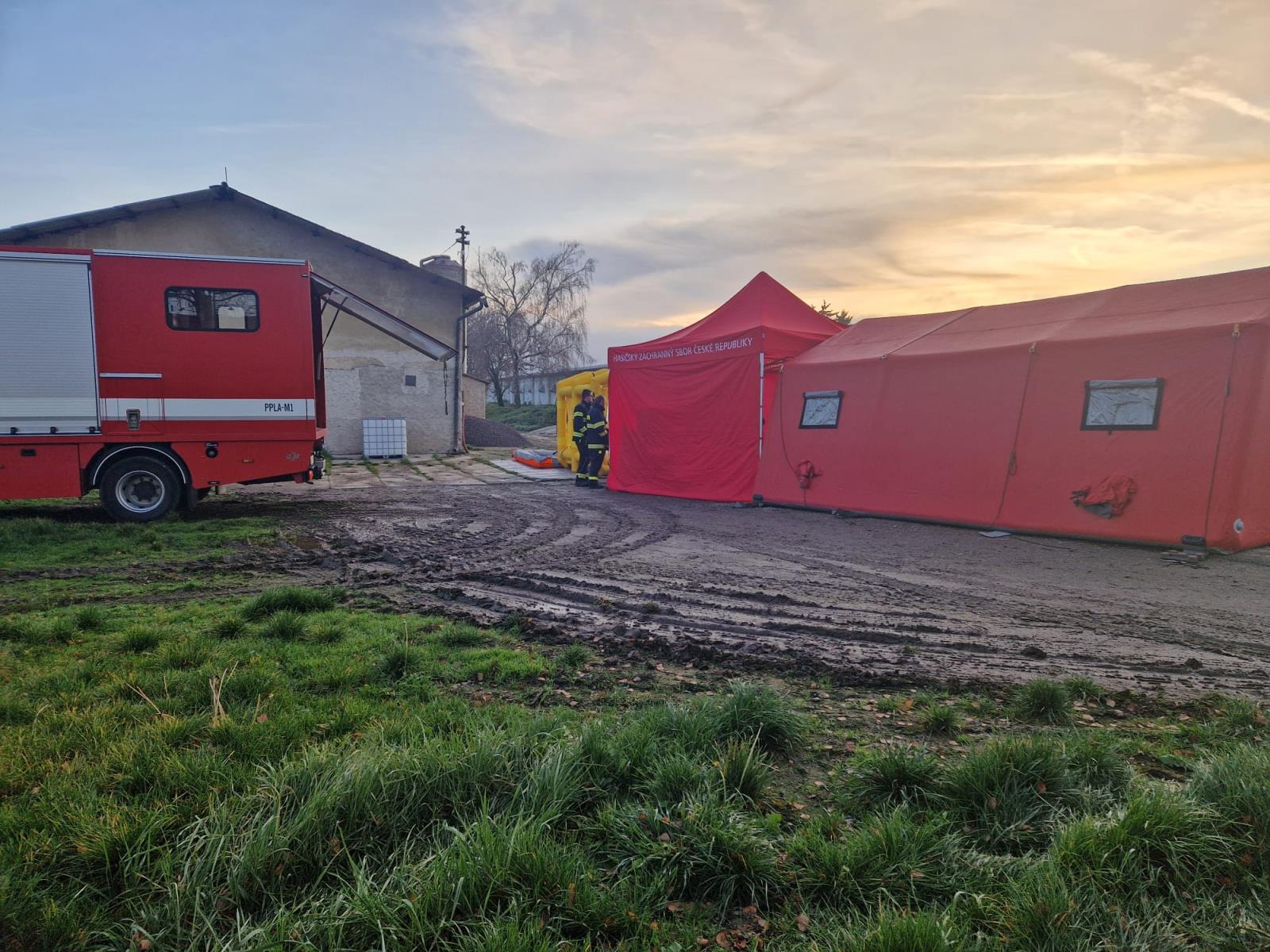 ptačí chřipka 13-11-2025a.jpeg