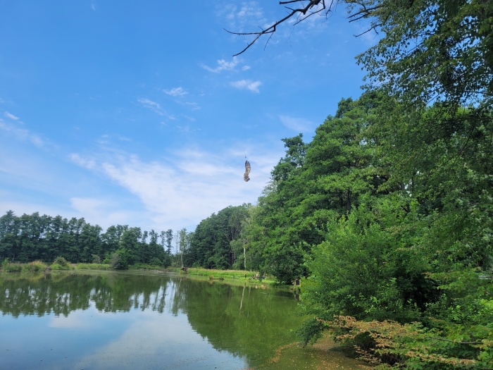 pustikrybnikBohuslavice (1 OP).jpg