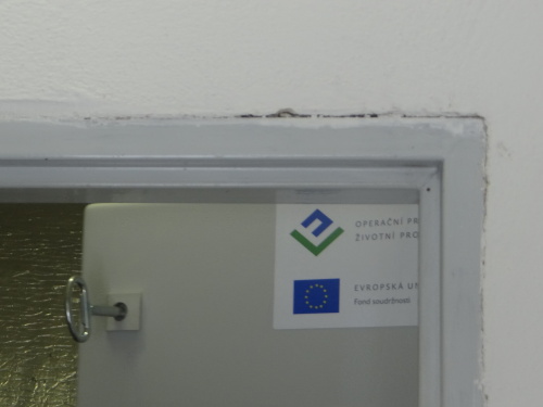 sirenaMoravka (1).JPG