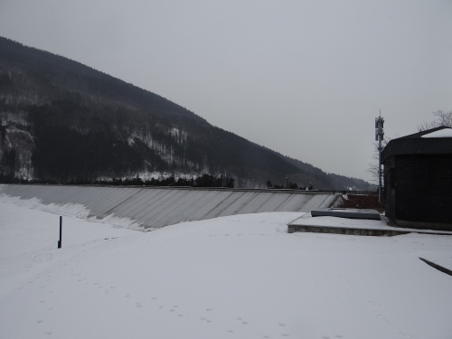 sirenaMoravka (8).JPG