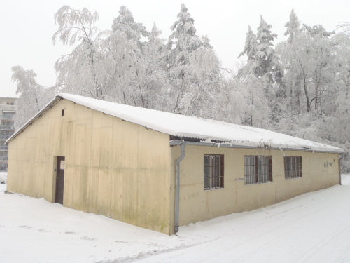 snihstromHrabyne (10).JPG