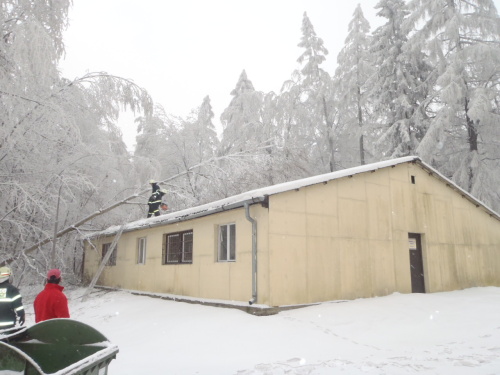 snihstromHrabyne (2).JPG