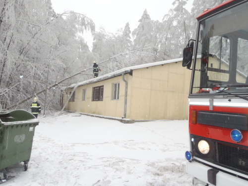 snihstromHrabyne (4).JPG