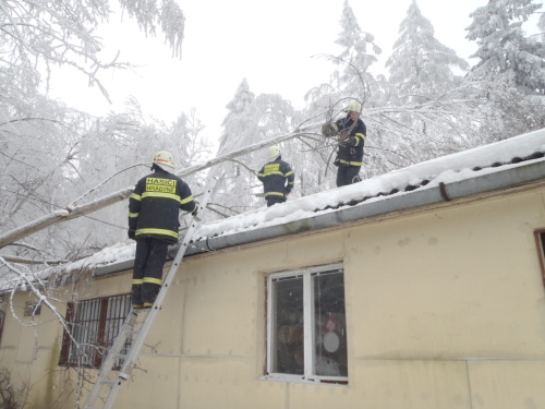 snihstromHrabyne (7).JPG